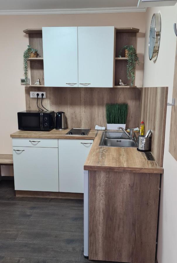 Mosonmagyaróvár Lucsony Apartman מראה חיצוני תמונה